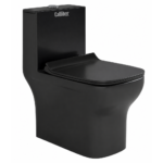 C1003 Black One Piece Toilet Seat